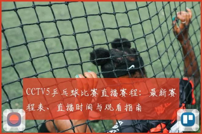CCTV5乒乓球比赛直播赛程：最新赛程表、直播时间与观看指南